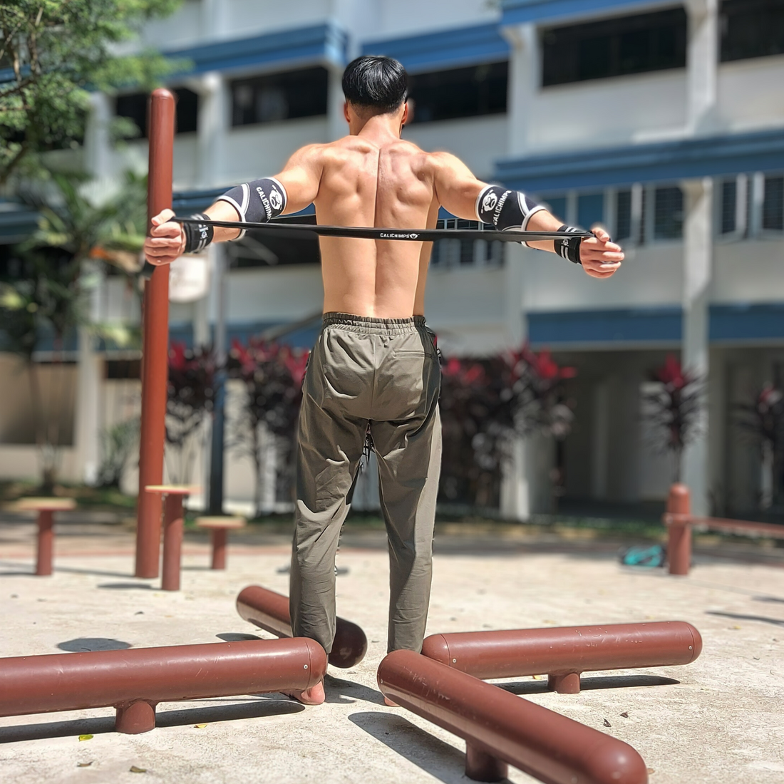 The Fastest Way to Master Calisthenics