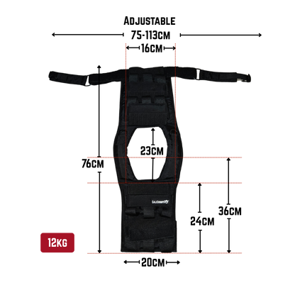Ergorilla Weighted Vest