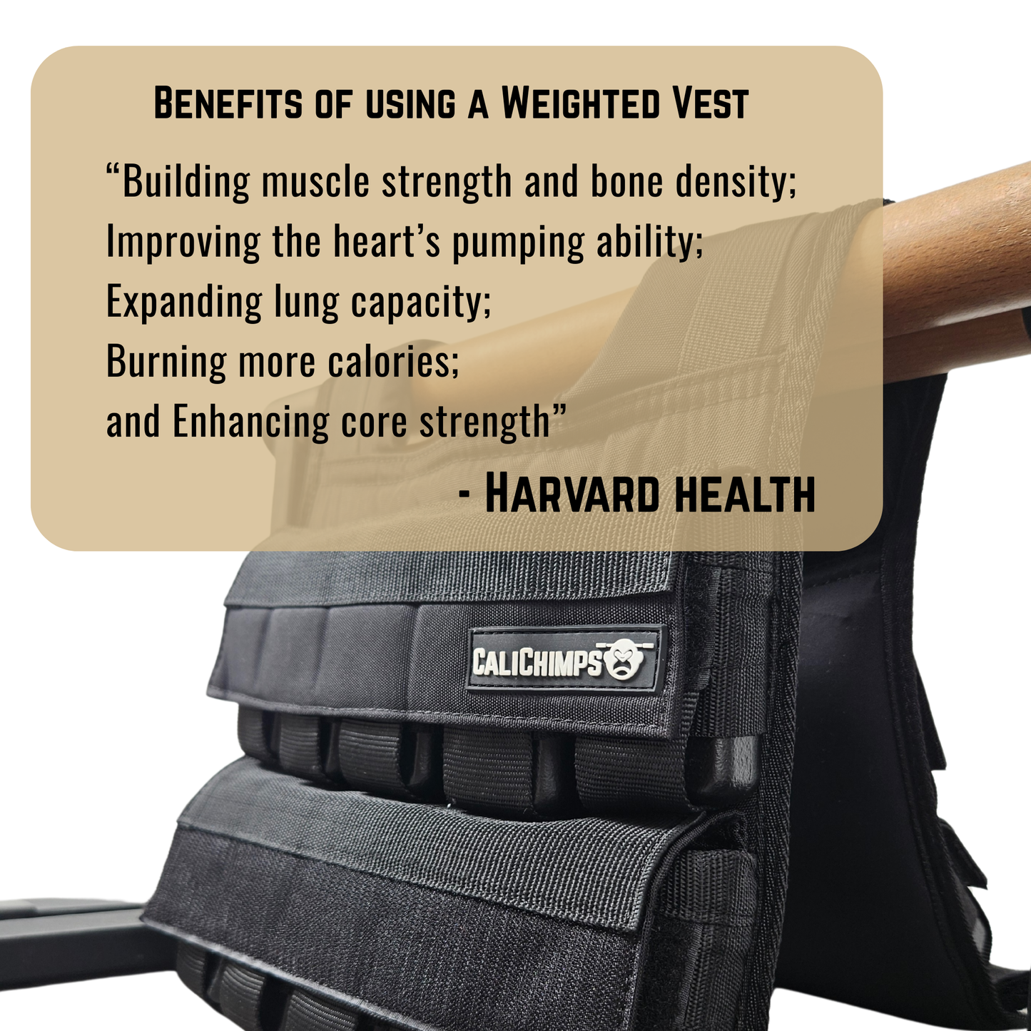 Ergorilla Weighted Vest